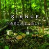 "Official Shop" Hokkaido SIKNUE Bath Salt (Tree)
