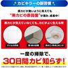 Kabiki Killer Refill 13.5 fl oz (400 ml), 1 Replacement