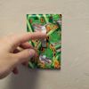 GRAPHICS & MORE Red Eyed Tropical Rainforest Frogs Plastic Wall Decor Toggle Light Switch Plate Cover