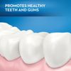 (2 pack) Oral-B Essential Clean Toothbrush, Medium, Gentle On Gums & Teeth, 6 Ct