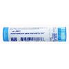 Boiron, Bryonia Alba 30C, 80 Count