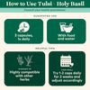 Tulsi Holy Basil Herbal Supplement 90 Count Stress Relief Immune Support
