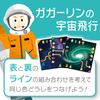 Logical Newton Space Flight of Gagarin
