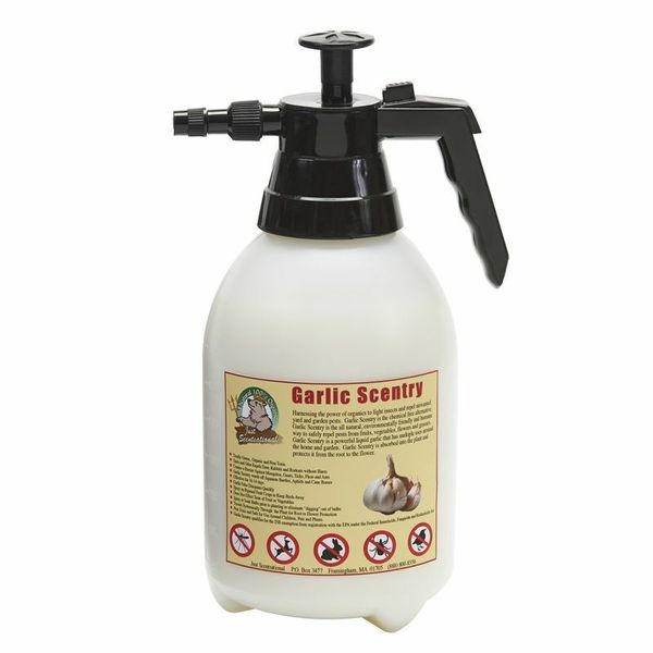 Just Scentsational Garlic Scentry Half Gallon Preloaded Pump Sprayer Bare Ground