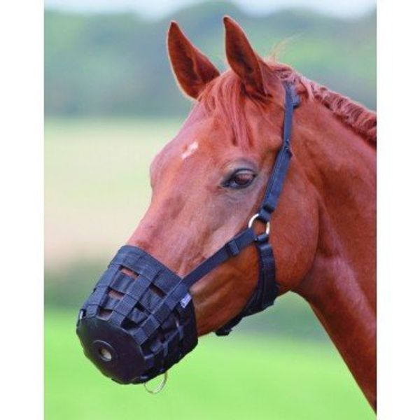 Hy Muzzle - cob - black