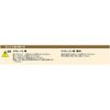Kyoto Tools (KTC) Nail & Hand Brush YTHB-100