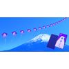 青雲 クリーン 大型バラ #23702