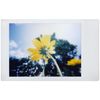 Lomo'Instant Boston Edition Camera