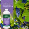 Buried Treasure Concord Grape Minerals 32 fl oz