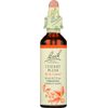 Bach Original Flower Remedies, Cherry Plum - Be in Control - Natural Homeopathic Flower Essence for Emotional Balance - Vegan, Gluten Free, Sugar Free - 20mL Dropper