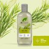 Dr Organic Tea Tree Shampoo 250 ml