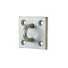 Stubbs Unisex's Stallguard Plate S30pl, Clear, Regular