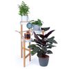 HydroSure 10-Pot Auto Drip Self Watering Rechargeable Kit