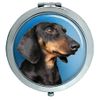 Miniature Dachshunds Compact Mirror
