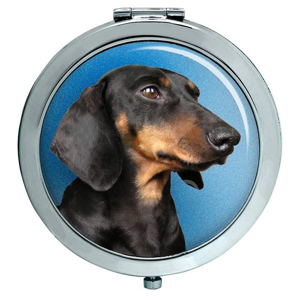 Miniature Dachshunds Compact Mirror