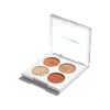 Anricia Get Jewel Palette UNLEASHIA Get Jewel Palette #N°2 STARRY DOT [Parallel Import]
