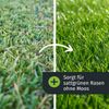 Turbo Green Effect Sand Lawn Sand with Fertiliser