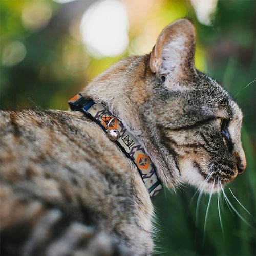 Paramount Network Cat Collar, Breakaway Collar with Bell, Yellowstone Y Logo Native American Tribal Tans Blue Orange, 8.5 to 12 Inches 0.5 Inch Wide