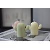 handmade scented soycandles catcus gifts home decor