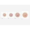 Temporary Areola Tattoo (Medium, Very Fair)