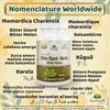 Bitter Gourd (Karela) Capsule