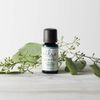 Ellia Diffuser Essential Oil Eucalyptus 15ml, 100% Pure, Therapeutic Grade, 15 mL Bottle, Clear