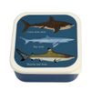 Rex London Snack boxes (set of 3) - Sharks
