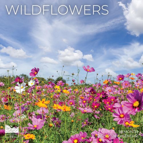 July 2025- December 2026 Wild Flowers Wall Calendar 18 Month | 12" x 24" Open | Giftable Nature Calendar 2026 | Thick & Sturdy Paper for Organizing & Planning | Pacific Waters Press (Wild Flowers)
