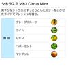 Citrus Mint 10ml Aroma Blend Incent Essential Oil 10ml