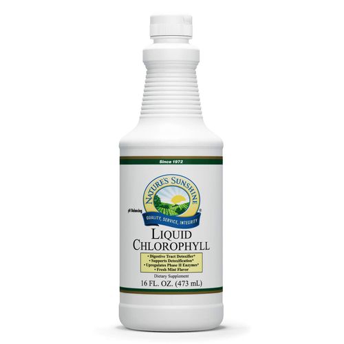 Nature's Sunshine Chlorophyll Liquid, 16 fl. oz, Kosher, Fresh Mint Chlorophyllin Assists Detoxification and Provides Intestinal, Immune, and Digestive System Support