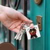 3dRose, Halloween vampire dog is a German Wirehaired Pointer, set of 4 Key Chains