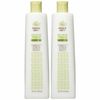 2 PACK Trader Joe's Tea Tree Tingle Conditioner 16 oz Each