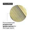 Absolut Repair Gold Professional Conditioner 500 Ml