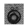 Aladdin American Ultra Flow Pump GO-KIT20-9