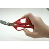 Cooking shears, beach in a wave Culinary Professional Make It Kitchen Scissors