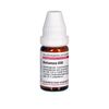 Dulcamara D30 DHU Globuli, 10 g Globuli