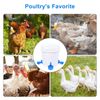 10Pcs Chicken Automatic Watering Cups Drinker Waterer for Hen Poultry Duck Quail