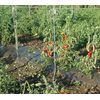 IRRIGATION-MART 6300FT Tomato Tying Garden Twine