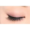 D-UP Eyelash RICH 809 False Eyelashes, Black, 2 Pairs