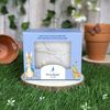 Robert Frederick Peter Rabbit Paint Your Own Plant Pot - Children's Craft Kit