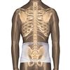 Core Products Corfit LS Lumbar Support Adjustable Back Brace for Pain Relief, Men/Women - White, Medium/Large