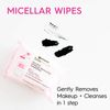 Garnier SkinActive Micellar Facial Cleanser & Makeup Remover Wipes, Gentle for All Skin Types (25 Wipes), 2 Count (Packaging May Vary)