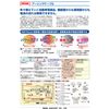 Seiwa Industrial Earthing Basic Set, 15sq , Made in Japan