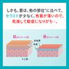 Curél Lip Care Cream Slightly Tinted Type .01 oz (4.2 g)