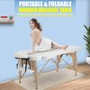 Massage Table Massage Bed Spa Bed Heigh Adjustable Salon Bed 73 Inch Portable