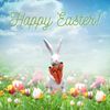 Wowser White Bunny Rabbit with Carrot Bundle Figurine, 11.5-Inch Freestanding Easter Décor