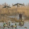 DEADLY DECOYS® Duck and Goose Flyer Decoys -1 Decoy