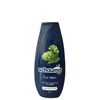 Schauma Shampoo for Men by Schauma