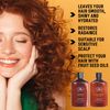 Shampoo and Conditioner Set (12 fl oz Each)…
