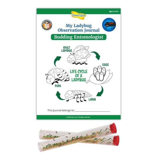 Insect Lore STEM Ladybug Activity Journal with Two Tubes of Ladybug Larvae